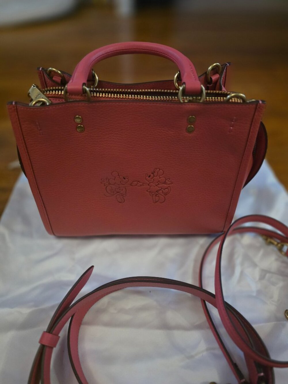 Coach Rogue Disney Collection